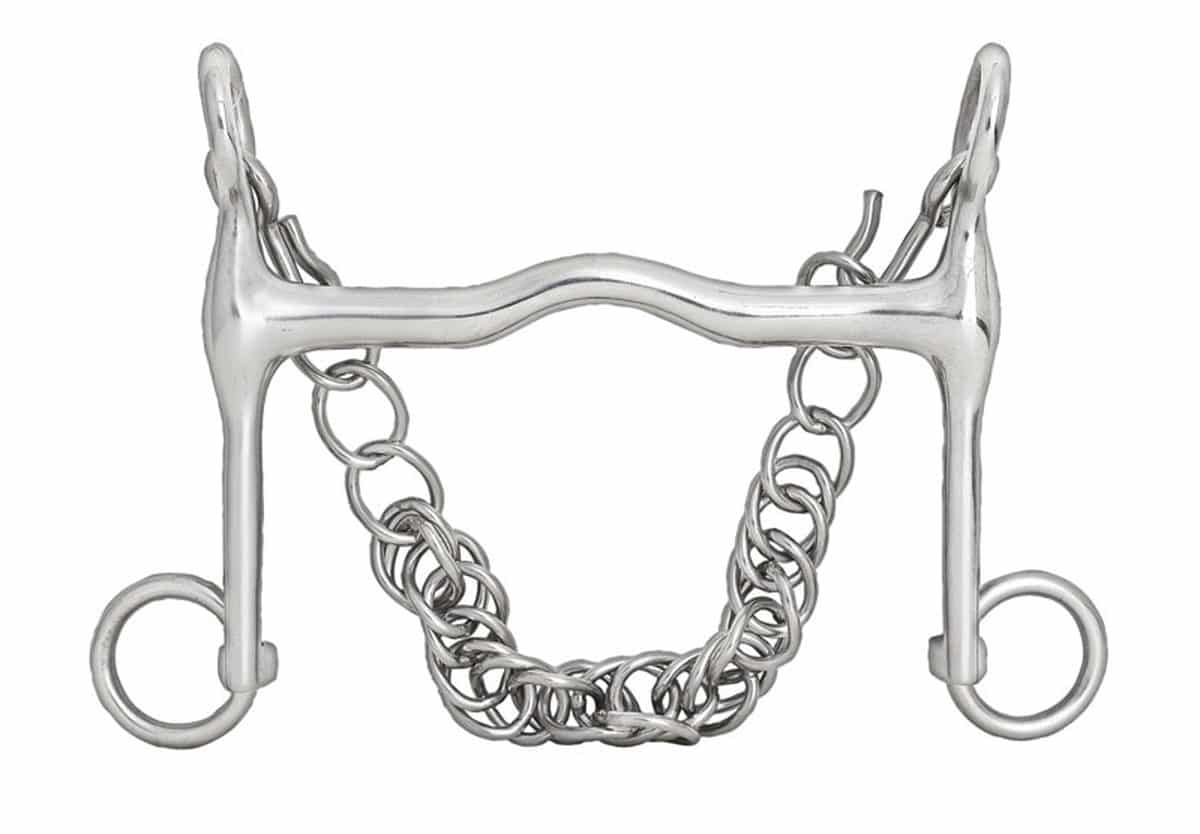 Horse Bits Types and Styles Guide with Horsey Hooves