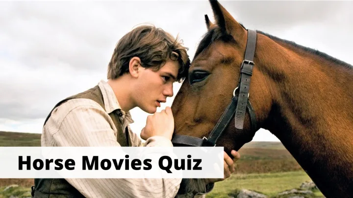 Ultimate horse movies quiz and trivia for horse film fans