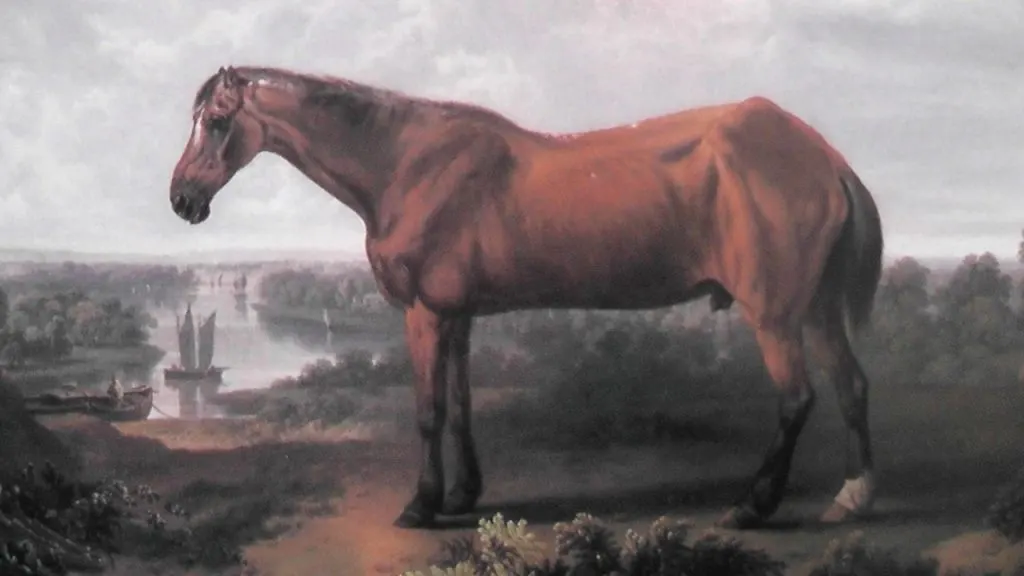 8 Oldest Horses in History