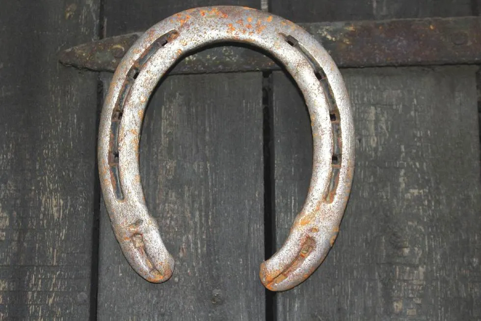 regular horseshoe