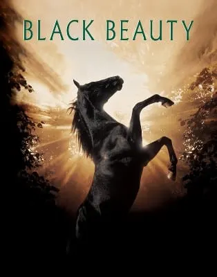 Black Beauty horse film