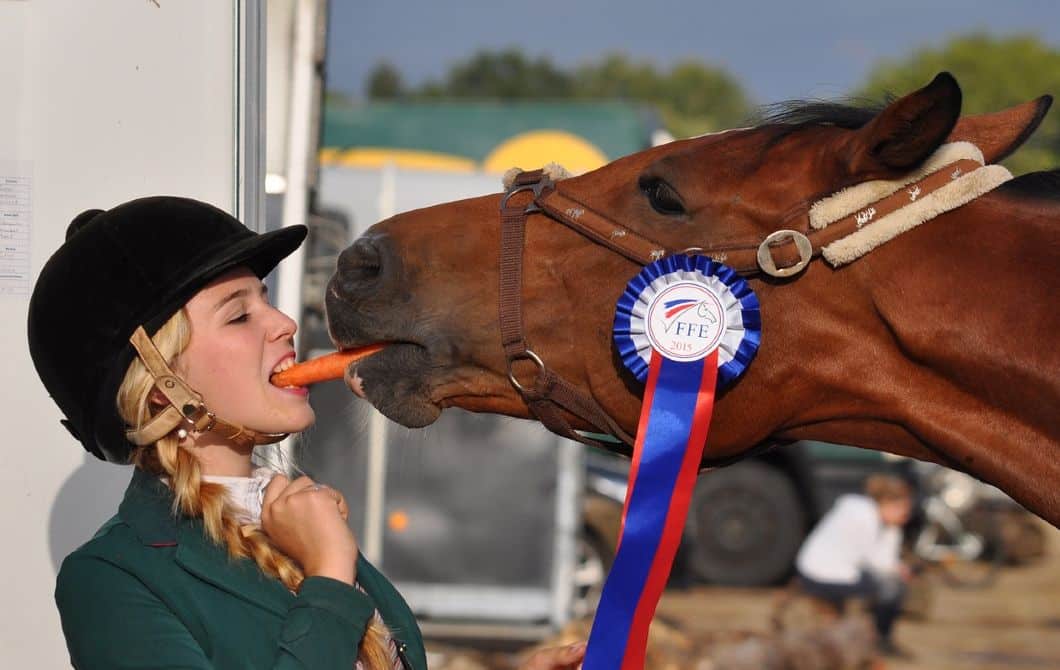 What Fruit & Vegetables Can Horses Eat?