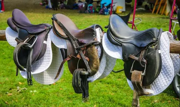 A row of three English horse saddles
