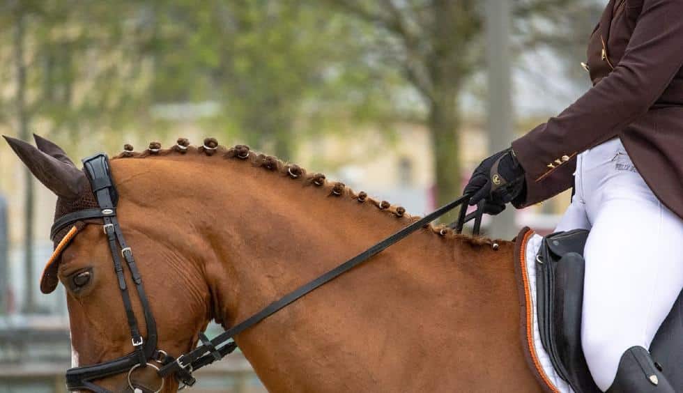English vs Western Horse Riding: What is the Difference?