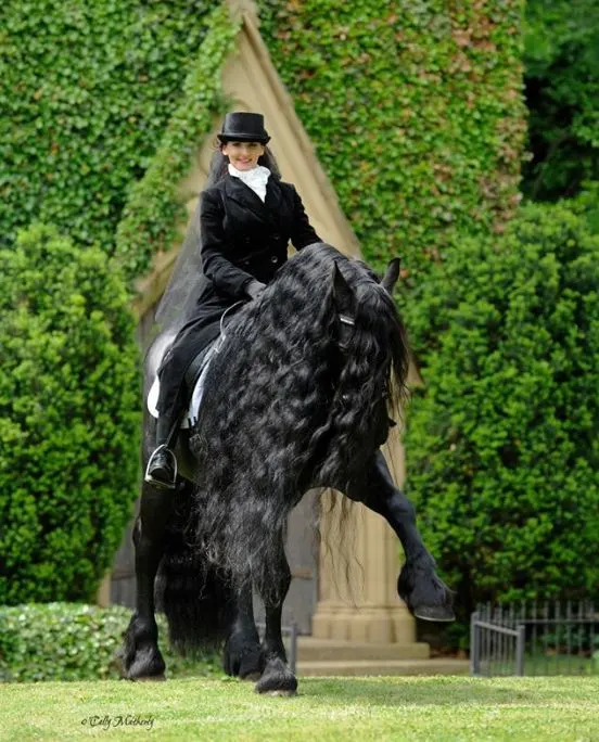 Frederıck the Great: The Most Stunnıng Horse ın the World -