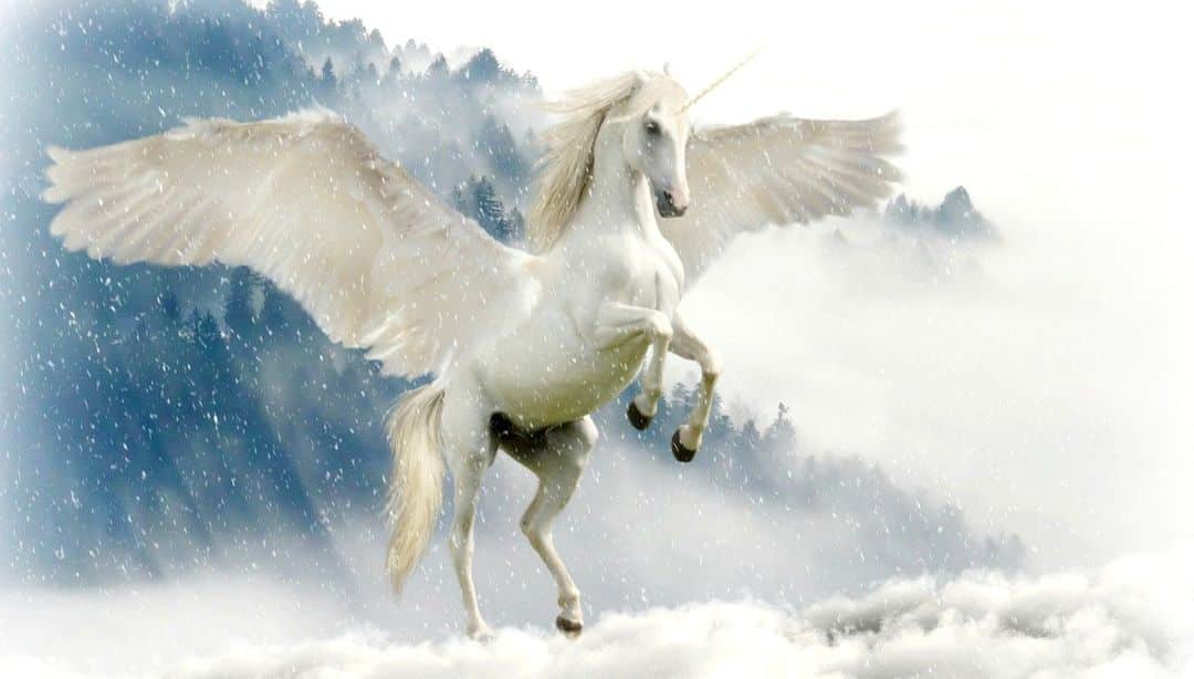 Pegasus. Mythical horse creature