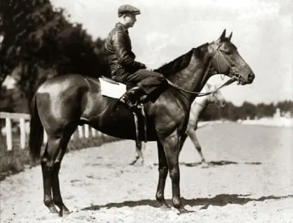 Seabiscuit, the famous racehorse