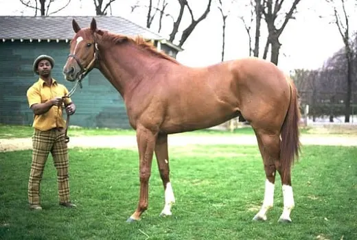 Secretariat.jpg.webp