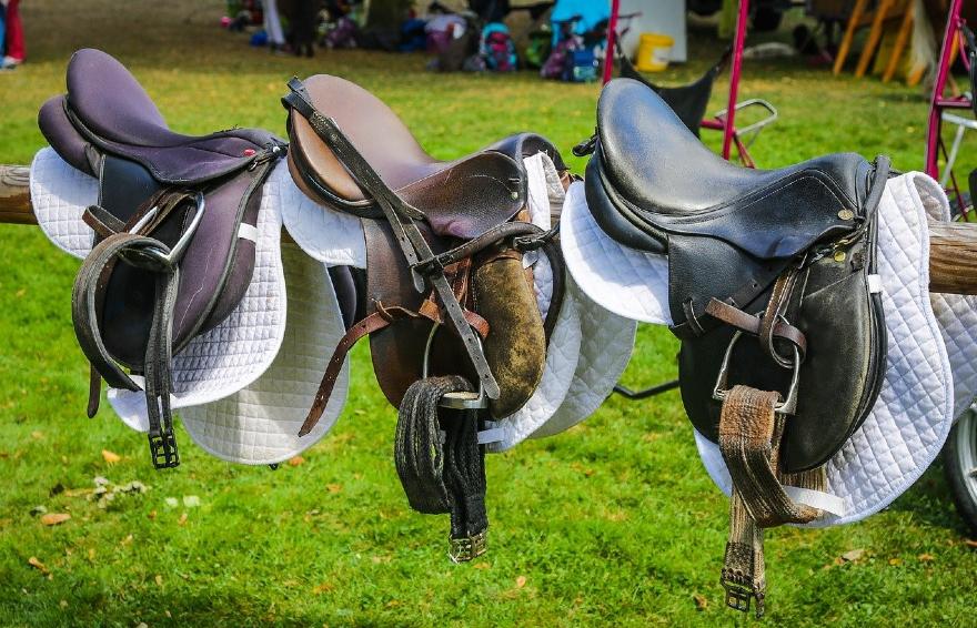 11 Types of Horse Riding Saddles & Their Uses
