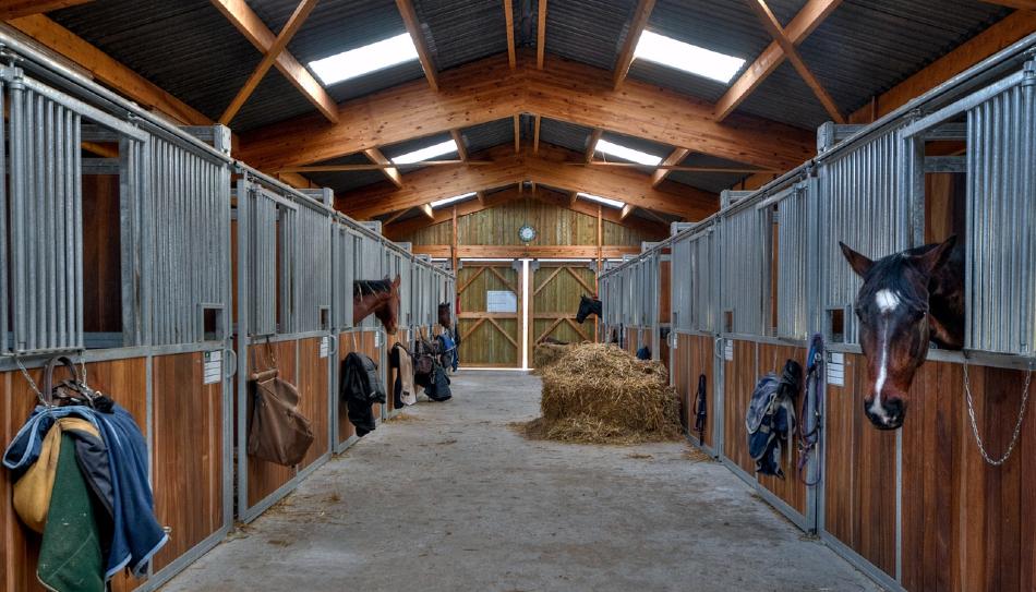 Choosing the Right Flooring for Your Horse Stable & Barn