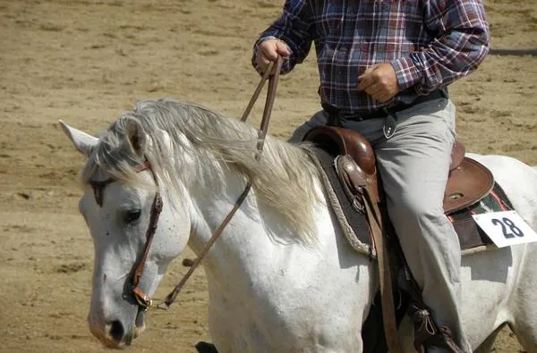 Western horseback riding style