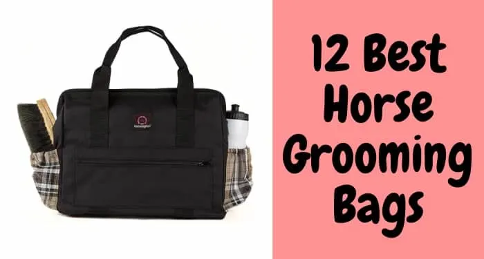 12 Best Horse Grooming Bags, boxes, and totes for equestrians