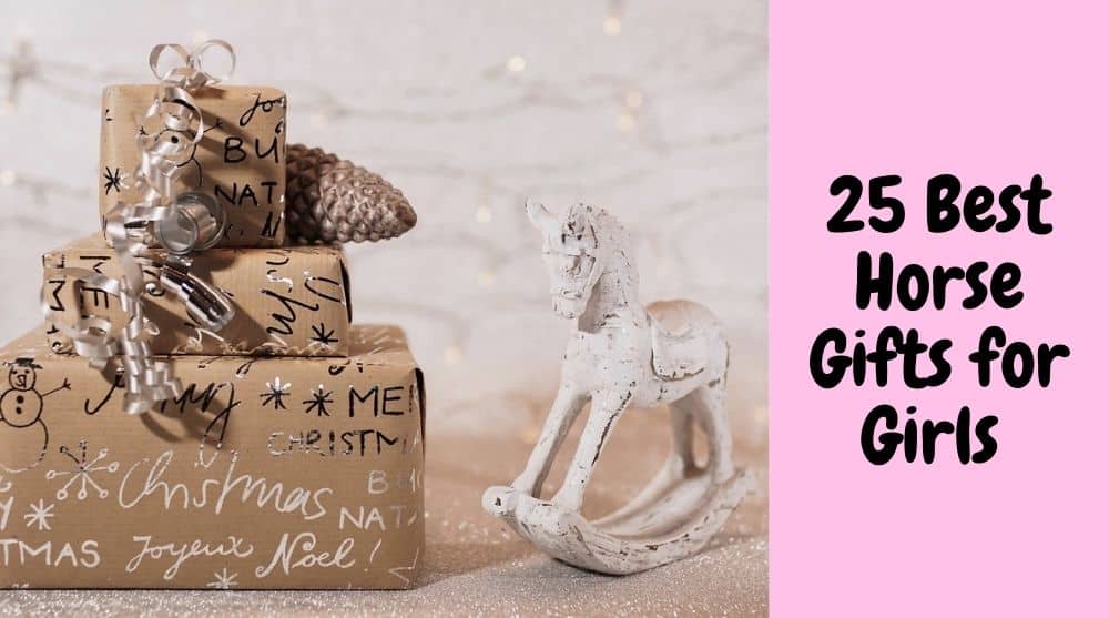 25 Best Horse Gifts for Girls Who Love Horses