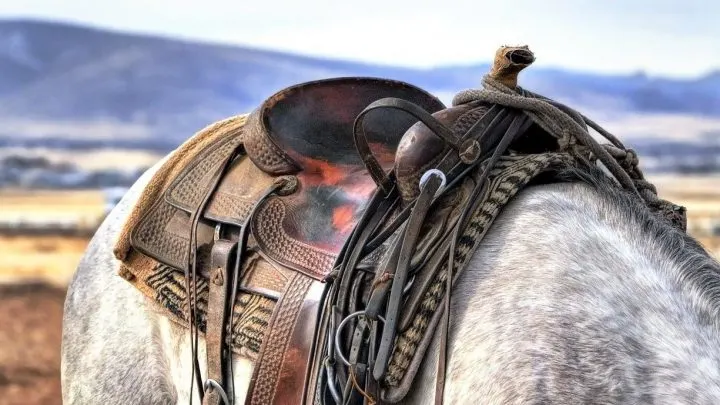 Best English and Western saddle brands for equestrians