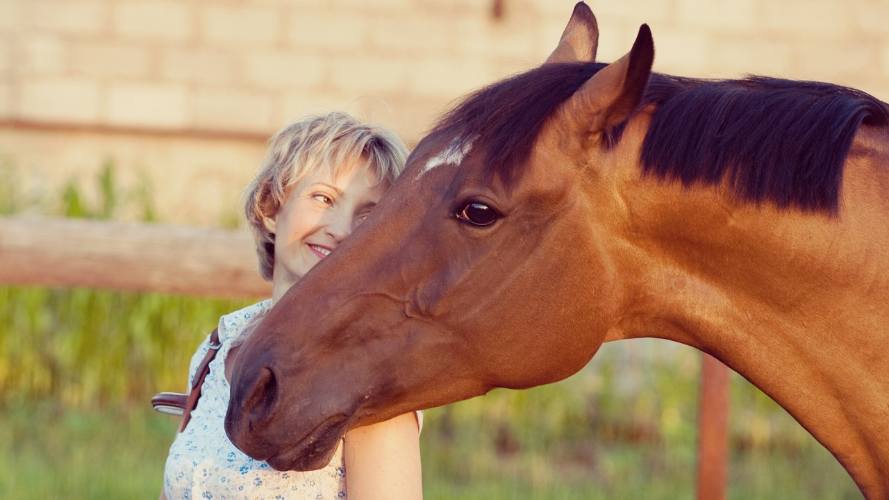 10 Compelling Reasons Why Women Love Horses