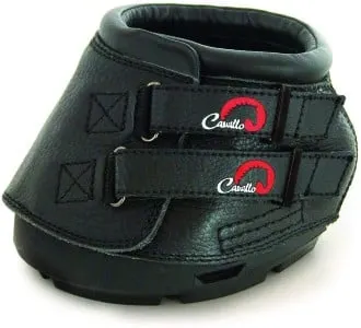 equine trail boots