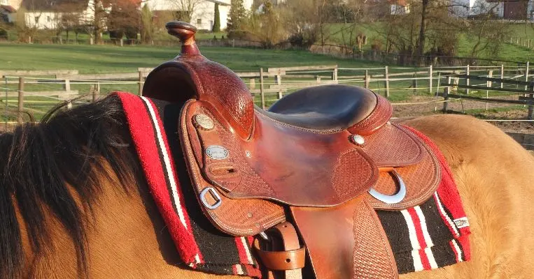 Comfortable western saddle on a horse