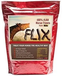 Flax Treats for Horses