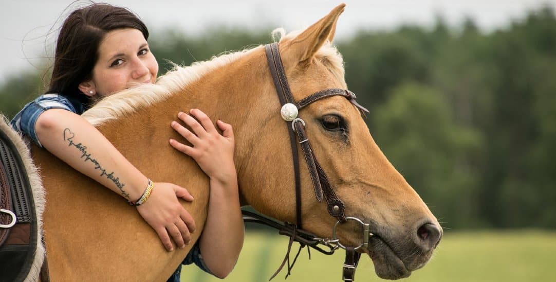 10 Reasons Why Women Love Horses