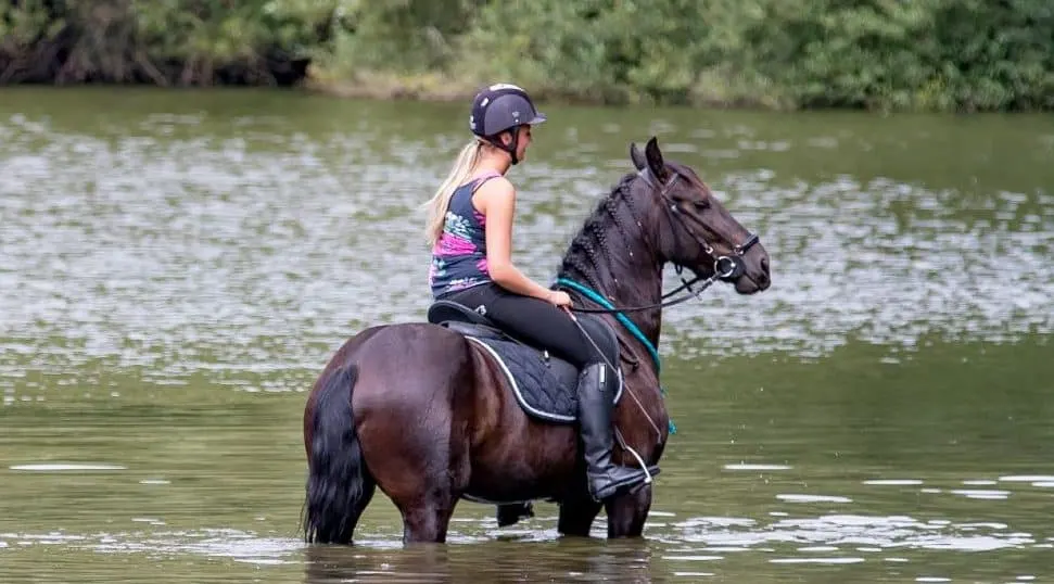 Girl and horse swimming in water