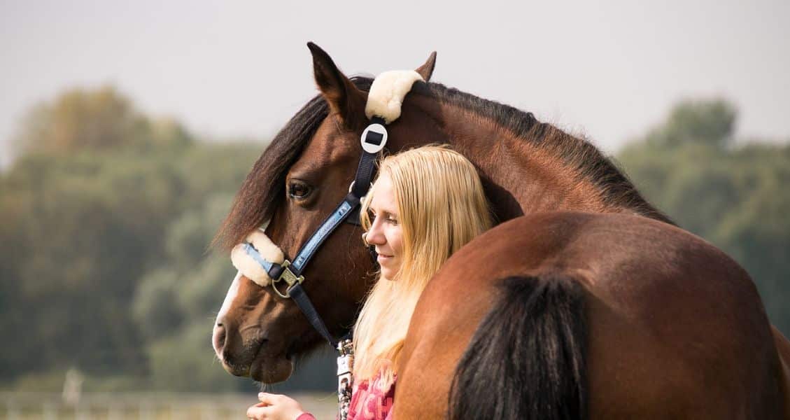 5 Ways Horses Show Affection to Humans