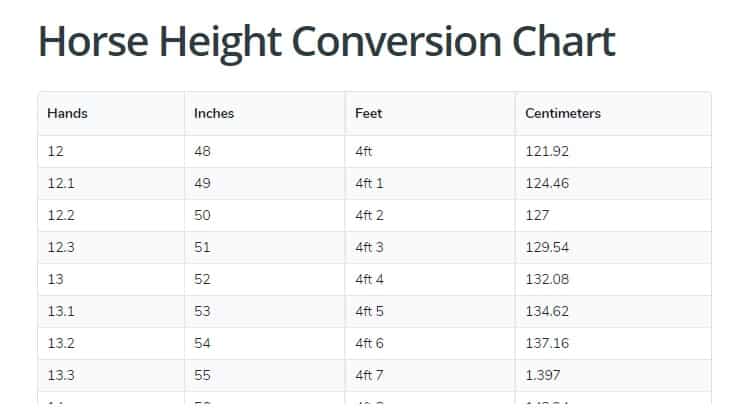 Schande halfgeleider Eindig Horse Height Conversion Chart (Hands, Feet, Inches & Centimetres)