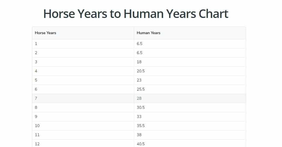 Horse Years to Human Years Chart