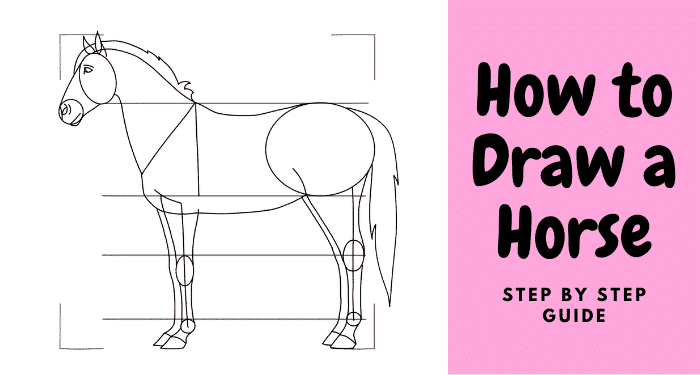 how to draw a horse step by step