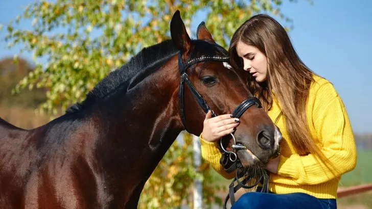 Teenage woman hugging her dark bay colored horse and both of them bonding