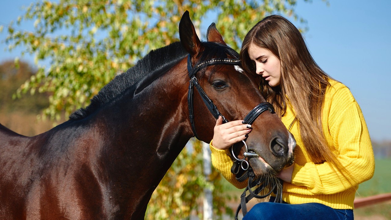 7 Creative Ways to Bond With Your Horse