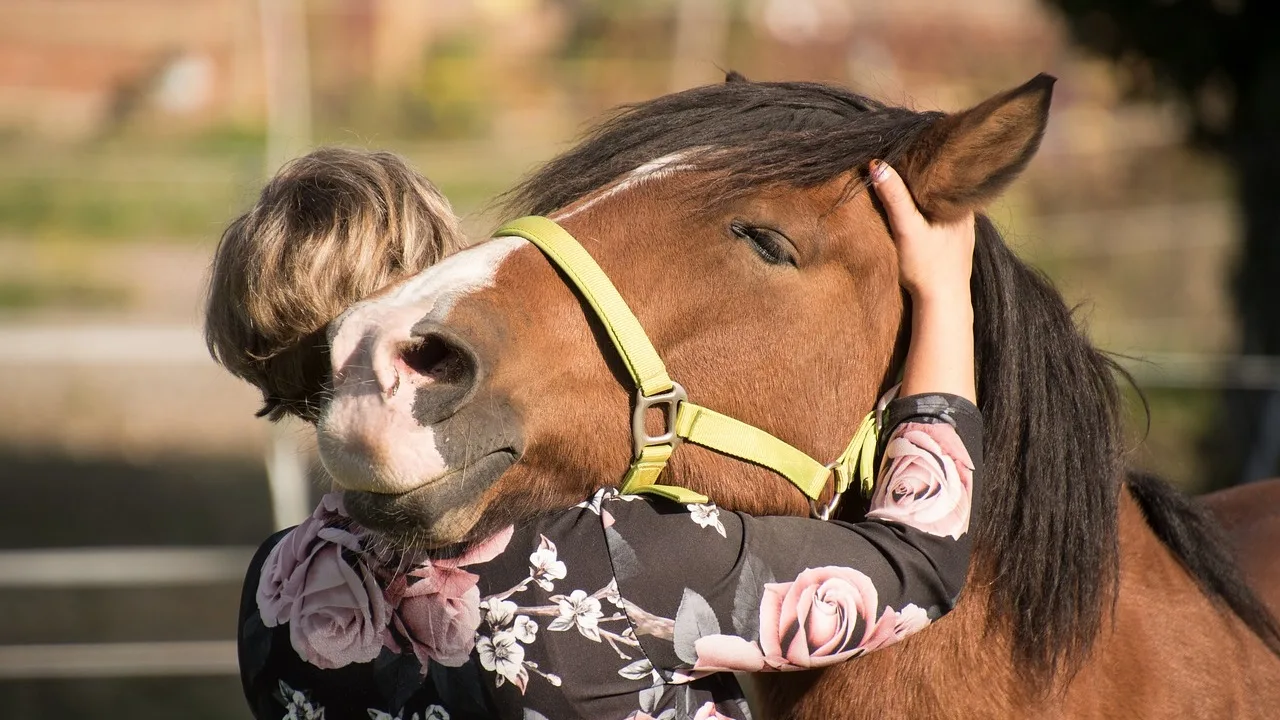 Woman and horse hugging