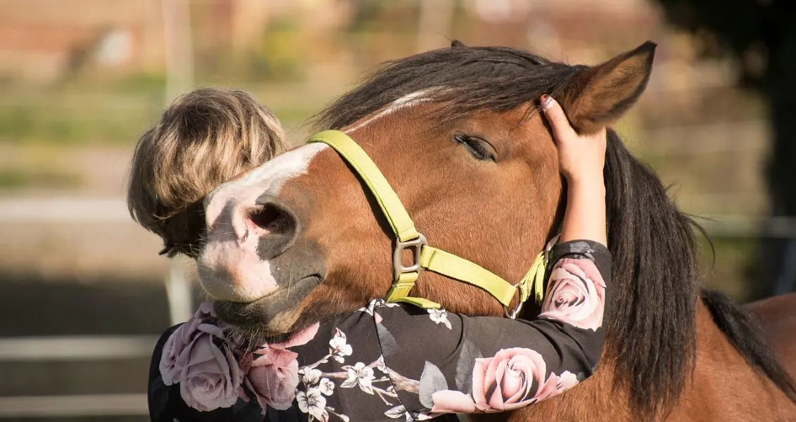 Woman hugging a horse's head who she loves