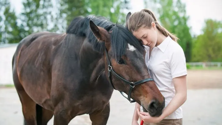 Best horse name ideas from A to Z