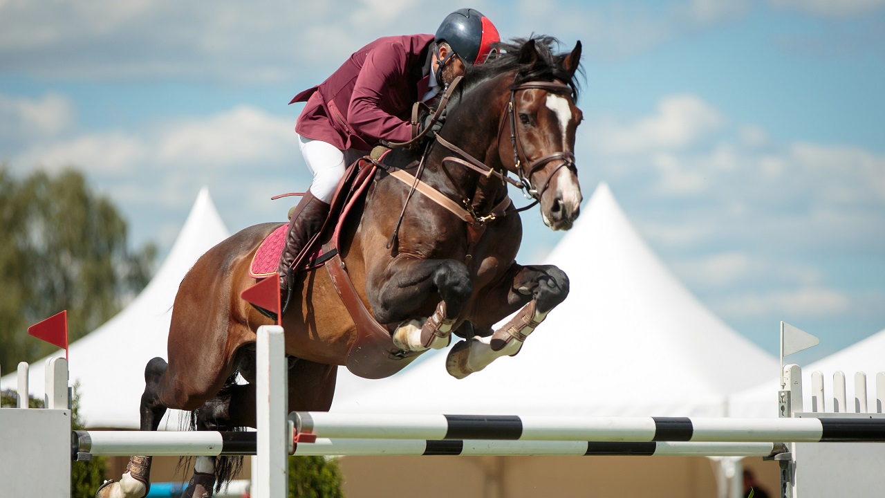 Man riding a horse and both going over a jump in a horse show jumping competition