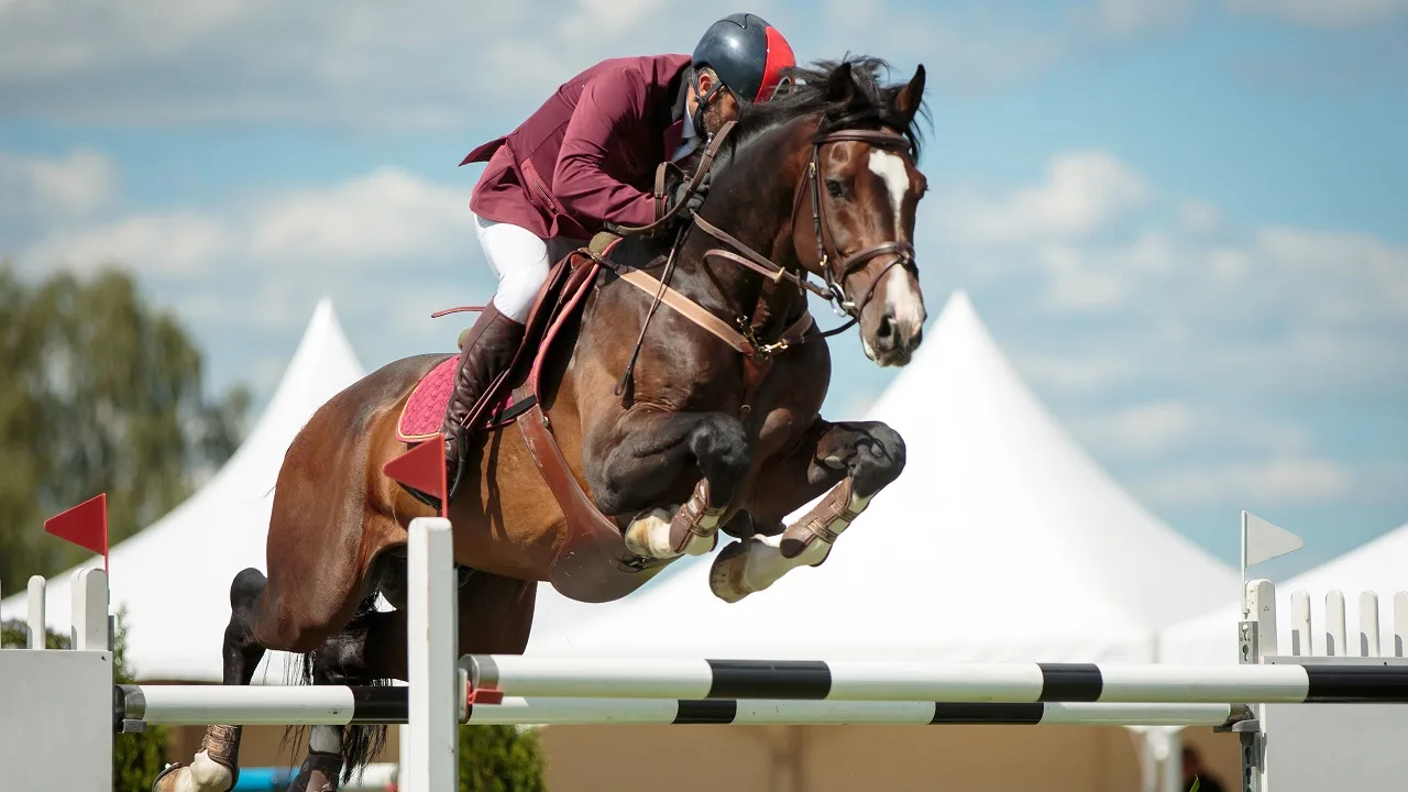Man riding a horse and both going over a jump in a horse show jumping competition