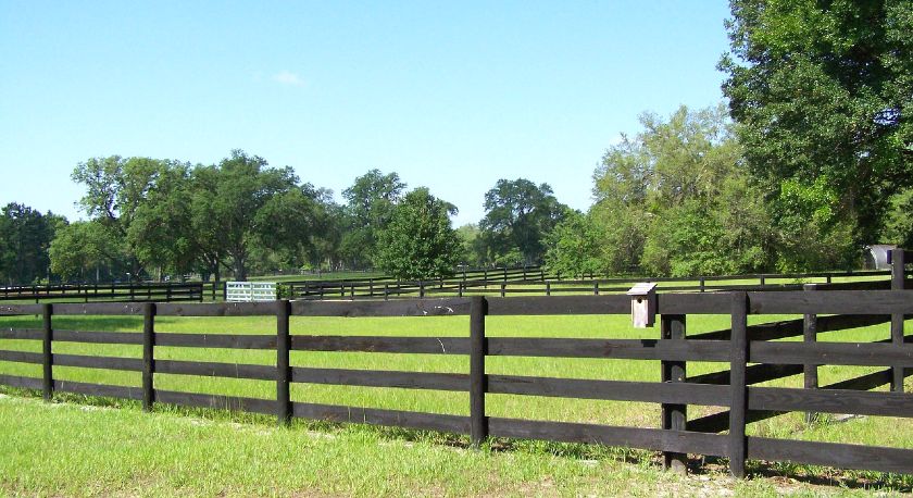 Wooden type of horse fencing