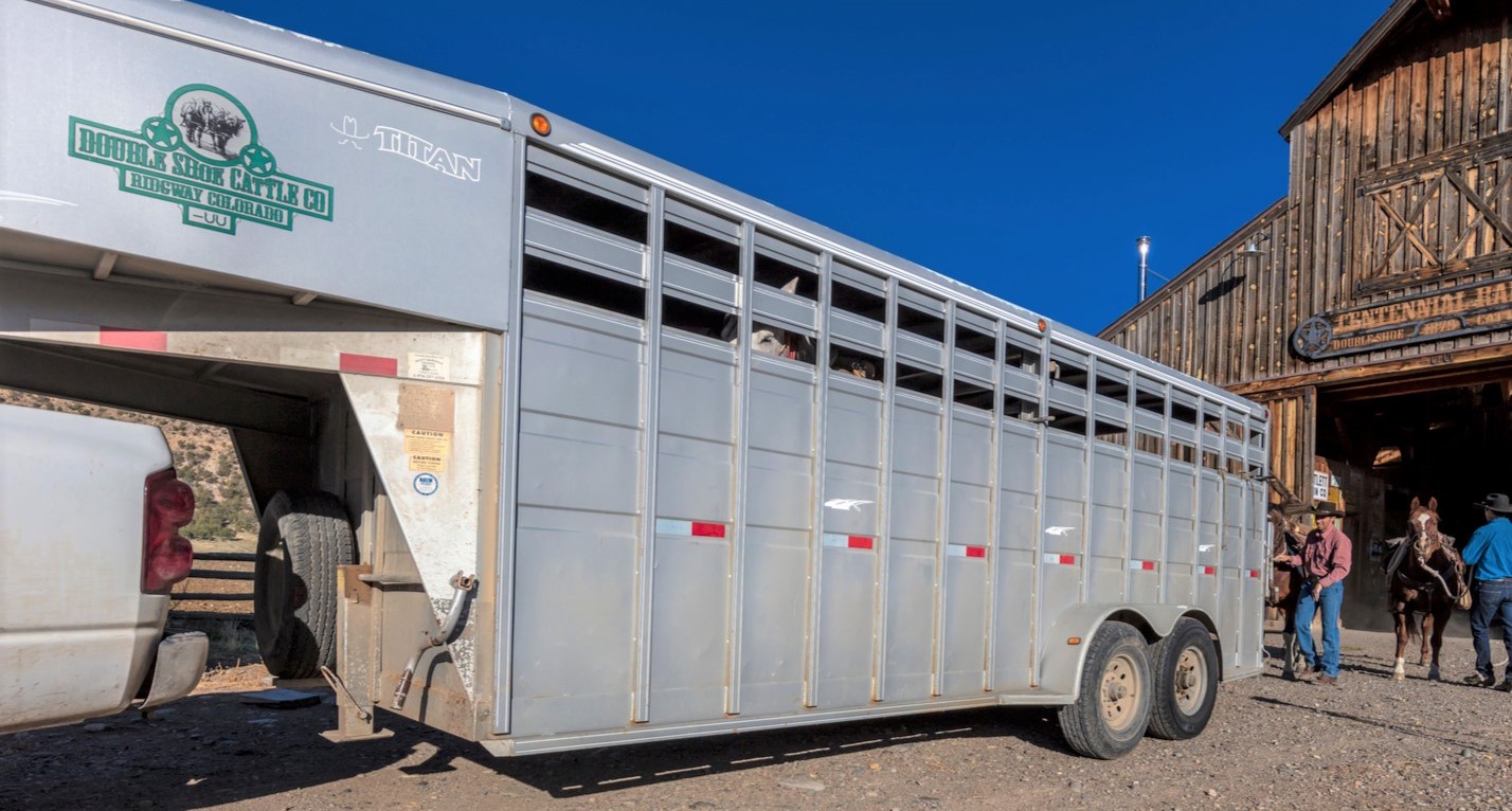 10 Best Horse Trailer Brands for Horse Owners