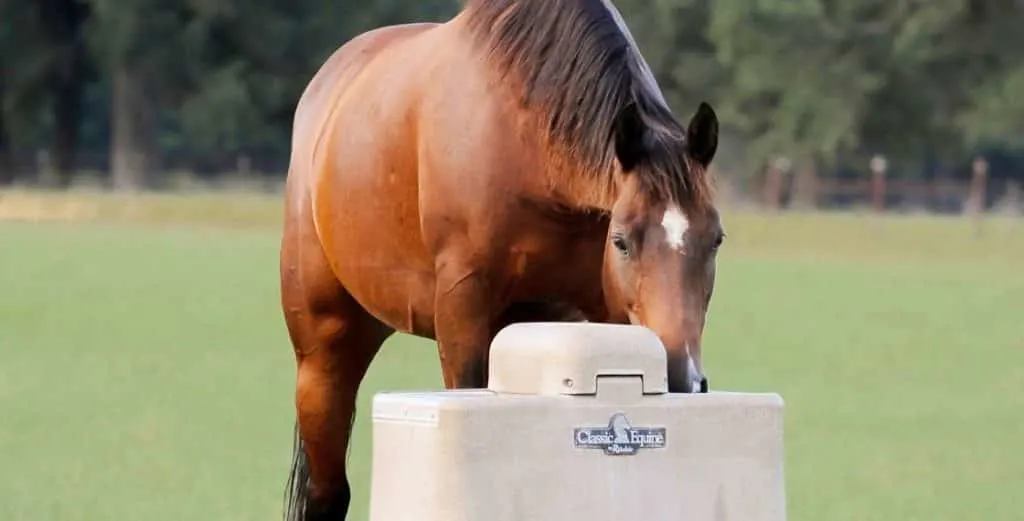 5 Best Horse Water Troughs And Tanks Reviewed 2021