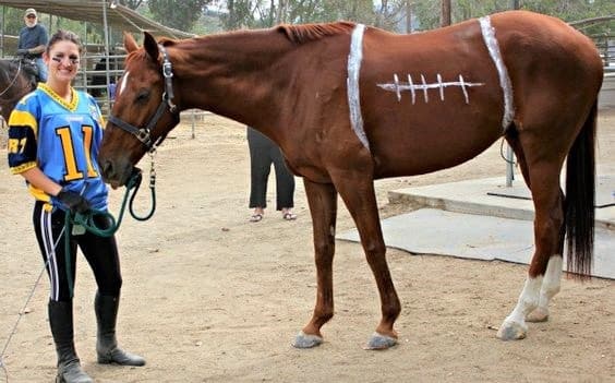 American football horse costume