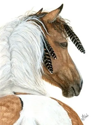 AmyLyn Bihrle drawing of a native american horse