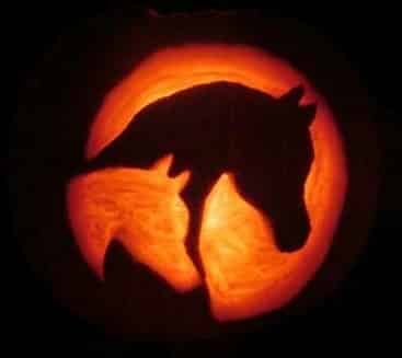 Arabian mare and foal pumpkin carving