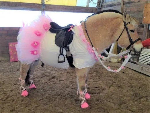 ballerina horse