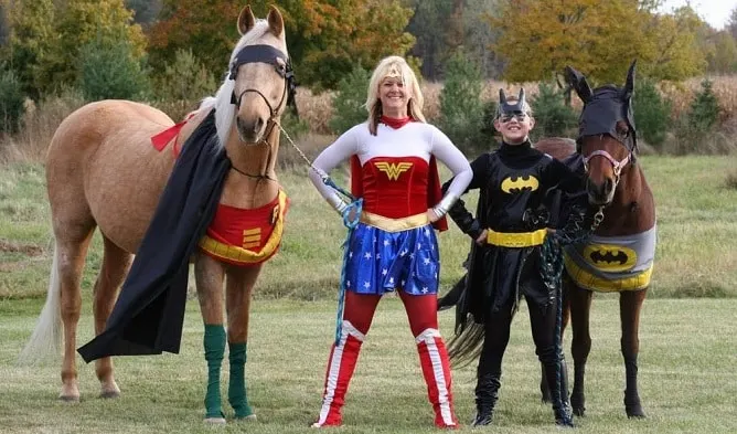 Batman and Robin horse costumes