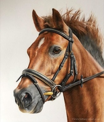 Sketch of a horse by Bethany Vere, horse artist