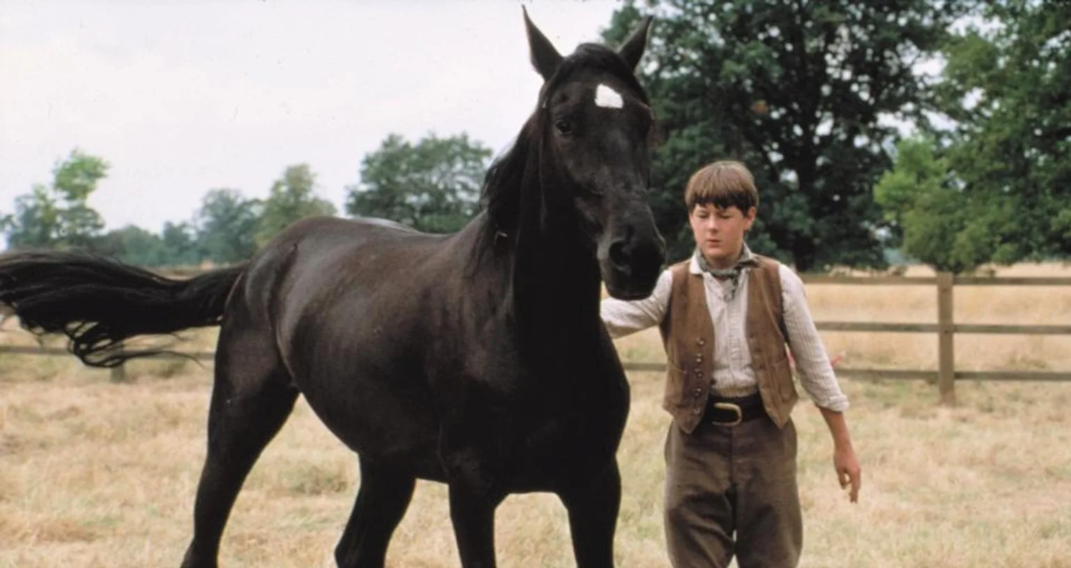 Black Beauty 1994 horse movie and boy actor