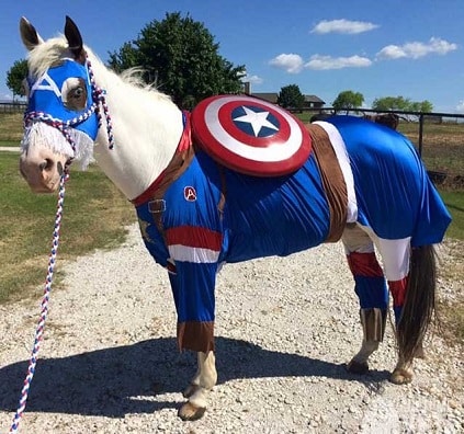 Costume de cheval Captain America