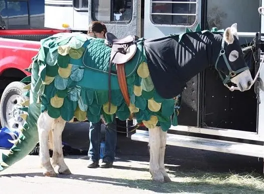 Horse dragon costume