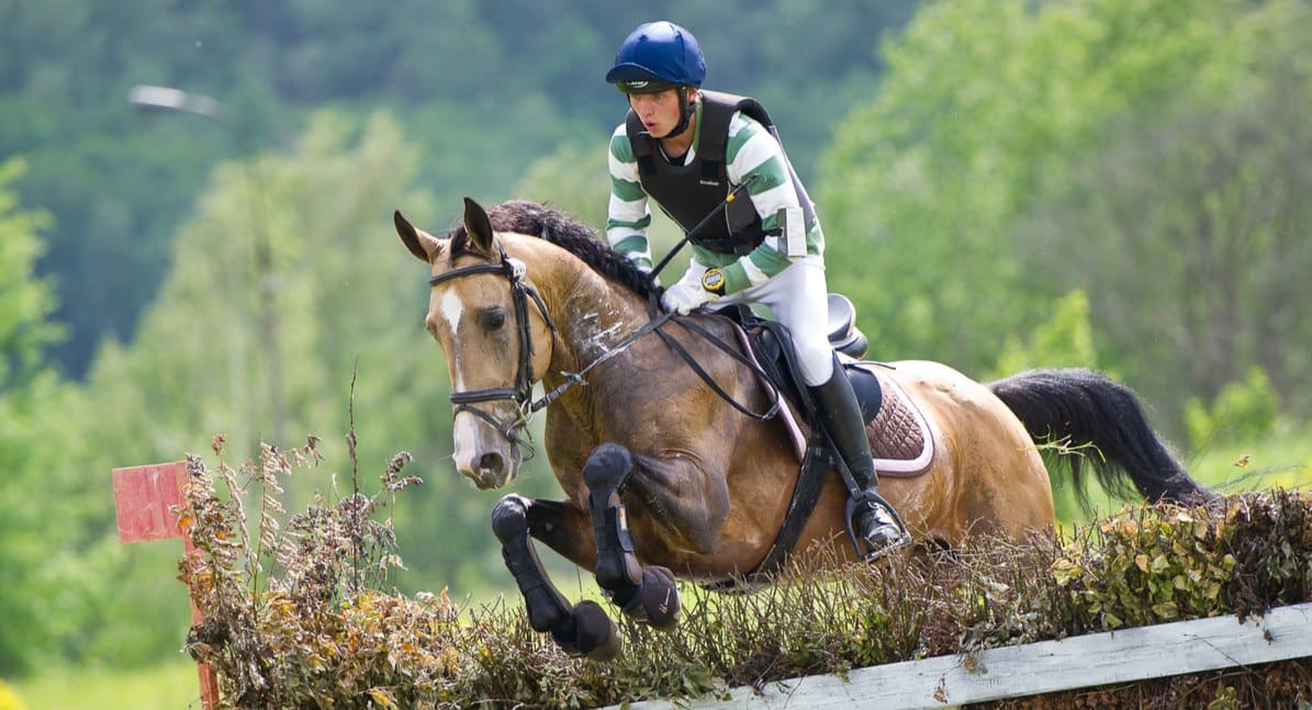 Eventing horse breed jumping a cross-country fence