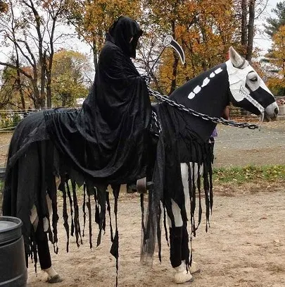 Grim reaper horse costume