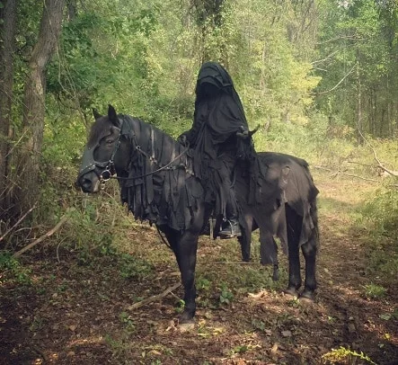 Nazgul cavaleiro e cavalo vestido de fantasia ideia